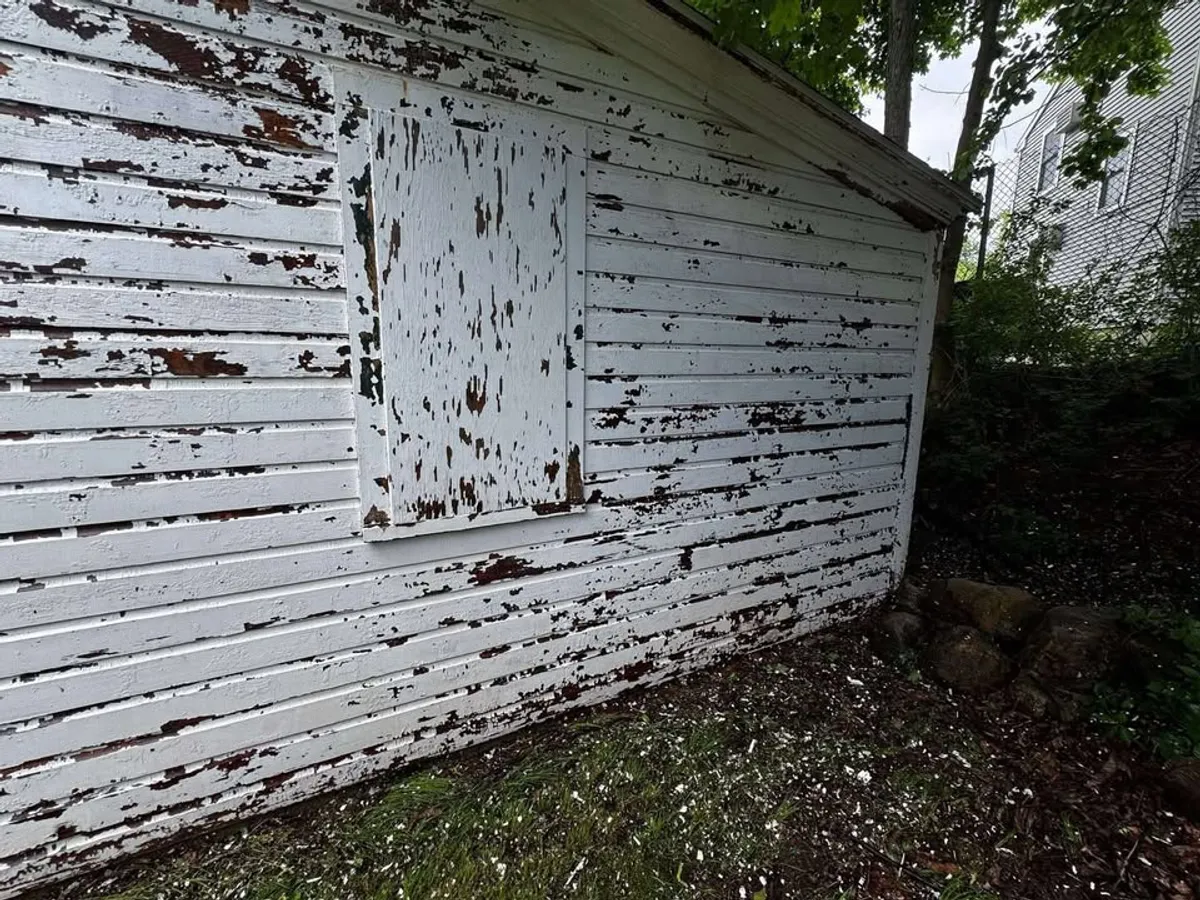 three men and woman standing while looking at bulletin board