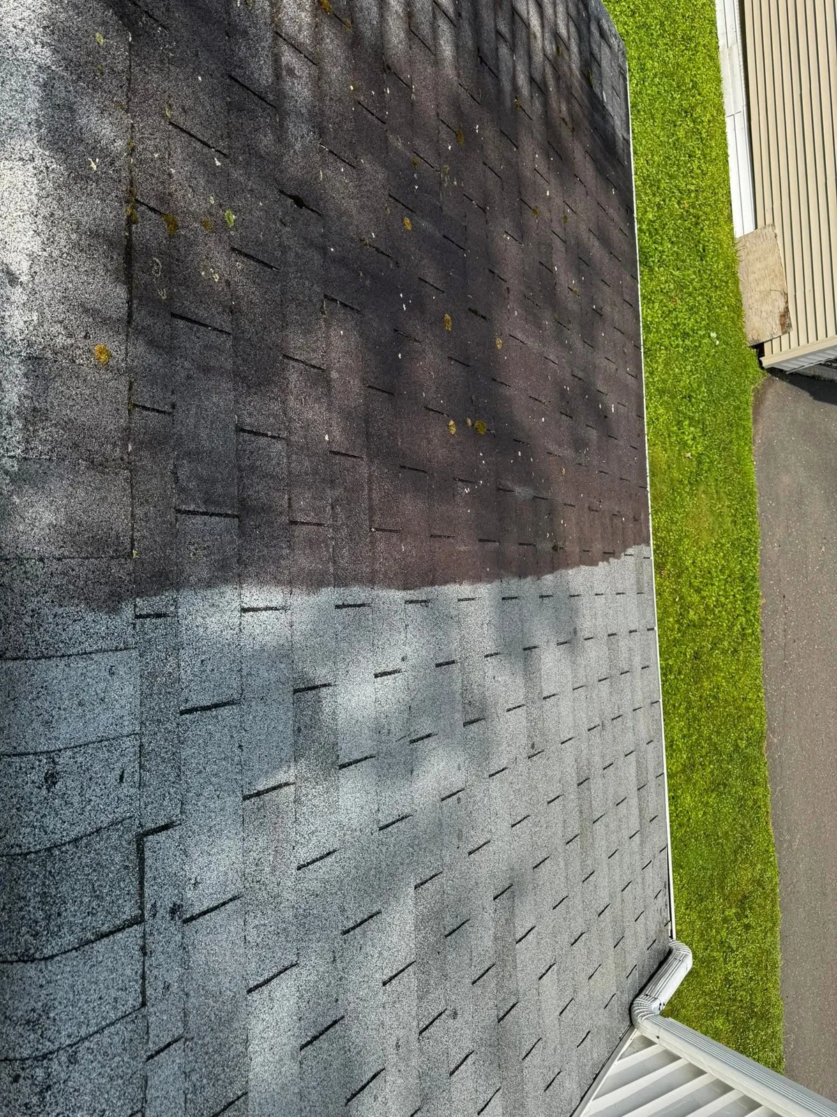A woman standing near a painting in a modern art gallery
